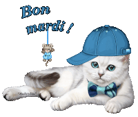 Gif animé Bon mardi chat